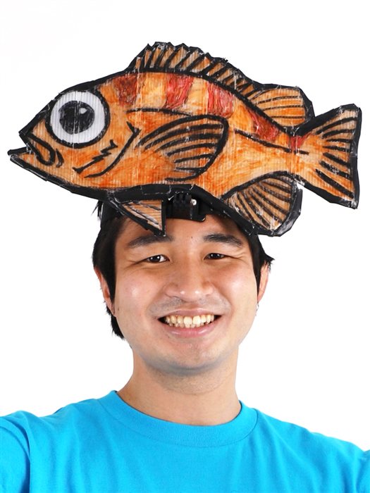guest hattori
